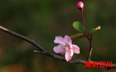 近水楼台先得月向阳花木易为春_近水楼台先得月向阳花木易为春最新章节列表_近水楼台先得月向阳花木易为春全文阅读