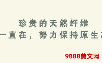 妙不可言日光生小说_妙光生辉：不可言之日，启幕小说